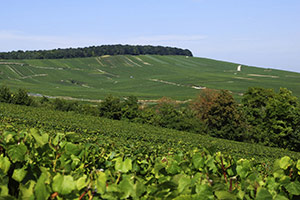 La Côte des Blancs La Côte des Blancs